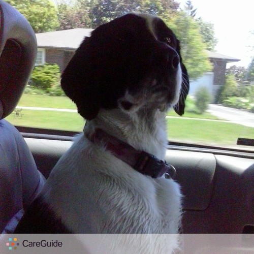 Pet Care Provider Brenda Thompson's Profile Picture