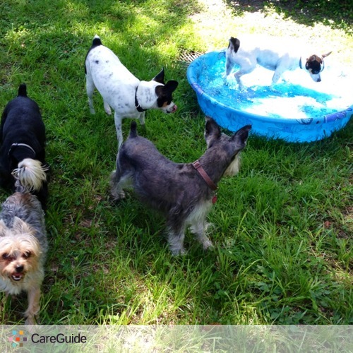 Pet Care Provider Sharon Hemmerich's Profile Picture