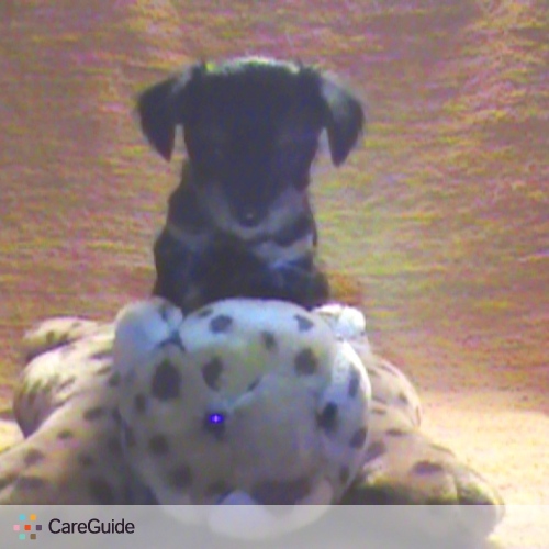Pet Care Provider Melanie Martin's Profile Picture