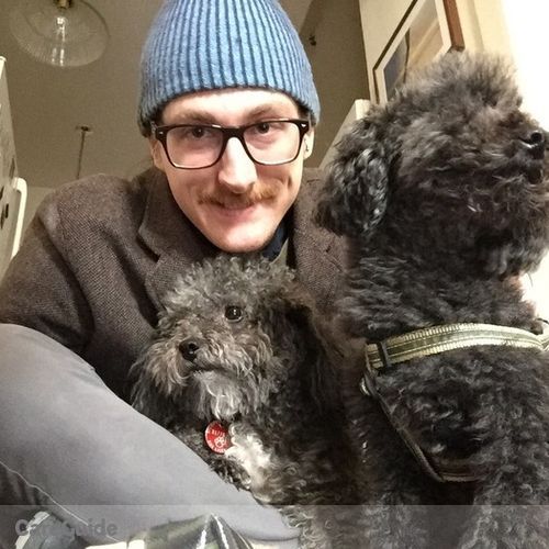 Pet Care Provider Steve Bowen's Profile Picture