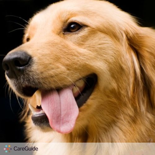 Pet Care Provider Haley Wales's Profile Picture