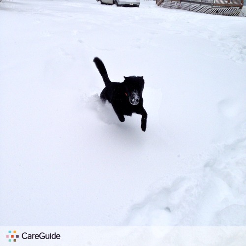 Pet Care Provider Taylor Walton's Profile Picture