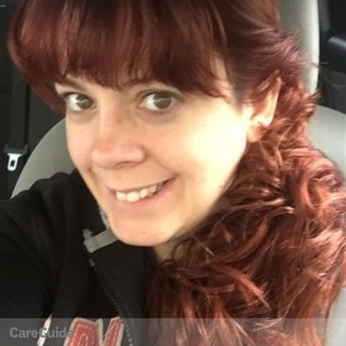 Housekeeper Provider Angie Hippe's Profile Picture