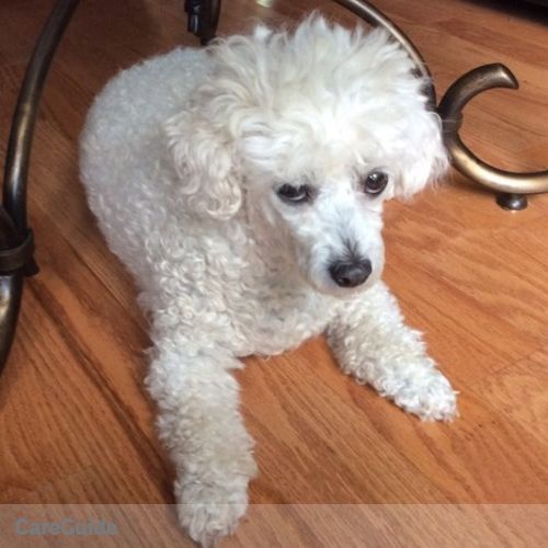 Pet Care Provider Monique Neville's Profile Picture