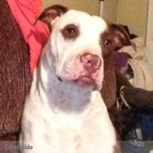 House Sitter Provider Leigha Thomas's Profile Picture