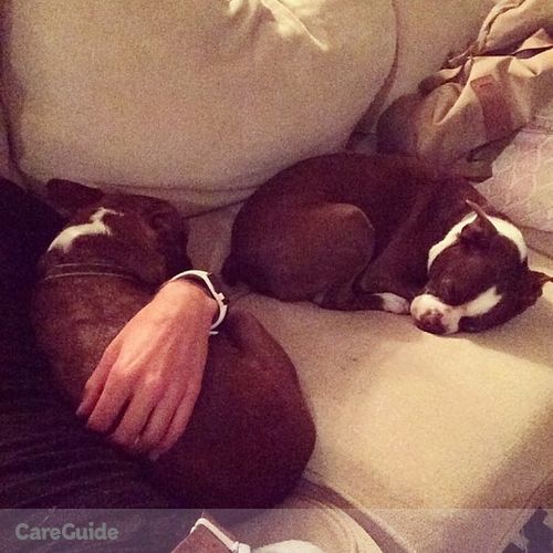 House Sitter Provider Steven Ewald's Profile Picture