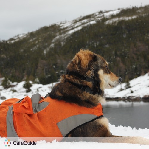 Pet Care Job Micah Martin's Profile Picture