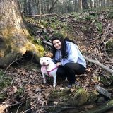 Looking For a Dog Sitter Job in Dahlonega, Georgia
