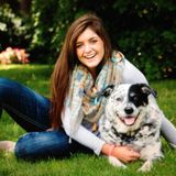 Pet Sitter
