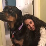 A senior at Lower Dauphin High School looking for a pet sitting job!