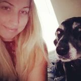 Pet Care Provider