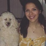 Available: Hardworking Petsitter in Fairview