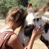 Experienced Animal Caregiver Available for Pet Sitting & Walking!