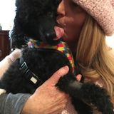 WHY ?Do you Need a Professional HOUSE SITTER -PET SITTER so you can go and enjoy your vacation