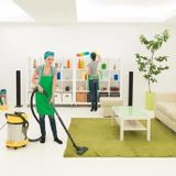 Interested In Tampa House Cleaner, Florida Jobs