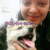 Disciplined Pet Care Provider in Westerville