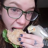 Opportunity: Campbell River Cockatiel Care, 1-week Intervals!