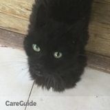 Petsitter Colonie/Albany/Guilderland