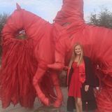 Skilled Baby-sitter in Dallas