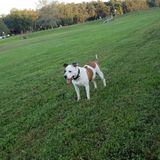 Skilled Pet Sitting in Zephyrhills lots of cuddles and love!