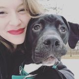 Knowledgeable caretaker with an odd passion for cleaning and a love for animals of all shapes and sizes.
