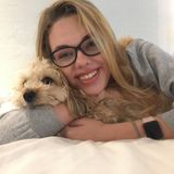 Energetic and experienced dog walker, and pet sitter