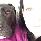 Steinbach Pet Sitter Available For Job Opportunities in Manitoba