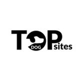 Professional Web Developer & Internet Marketer