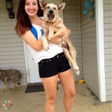 Huge animal lover & sitter