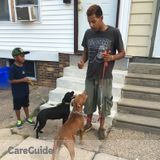 Jalils Dog Boarding