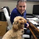 Dallas, Texas Pet Supervisor Opportunity