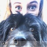 Loving and Fun Pet Care