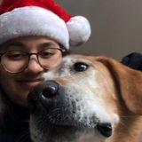 For Hire: Qualified Dog Walker in Bettendorf, Iowa