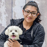 My name is Jenny, I am in love with dogs and love to be around them and see them get happy when its walk time.