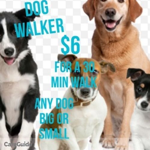 Pet Care Provider Laneice H's Profile Picture
