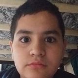 Houston Dog Sitter Interested In Work