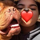 San Pedro Pet Trainer Searching for Work