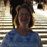 Experienced Pet Sitter Available