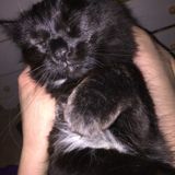 Excellent and energetic. Available today!
