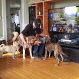 Farm Livin! We will take care of your pets like our own!