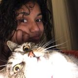 Interested In a Pet Sitter Opportunity in Los Angeles