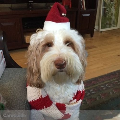 Pet Care Provider Jill M's Profile Picture