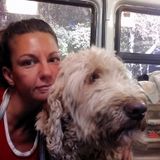 Hire a pet fanatic for drop in visits,transportation to appointments (Vet, training, boarding, grooming etc) tri-county +