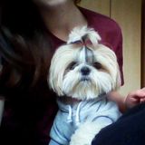 Id love to take care of your pet!