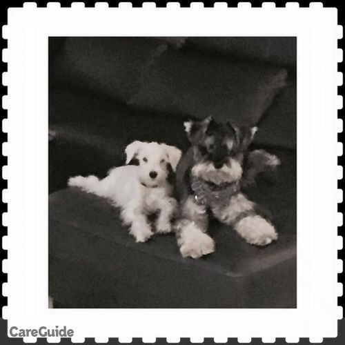 Pet Care Provider Hector D's Profile Picture