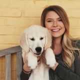 Dog Walking/Sitting Offered in Southern Pines