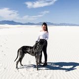 Loving Attentive Petsitter available throughout California!