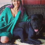 Chicago Petsitter/Walker