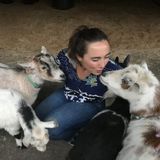 Hello! My name is Kristen Pietro and I am a perfect choice for all of your house-sitting, animal care, and plant care needs.