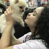 Brooklyn Pet Care Available